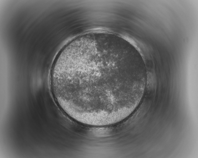 X0000093481474200711091617