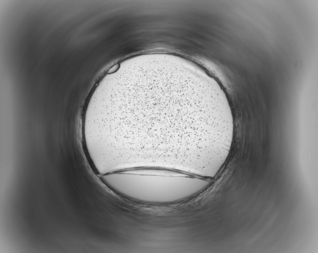 X0000093481476200711091617