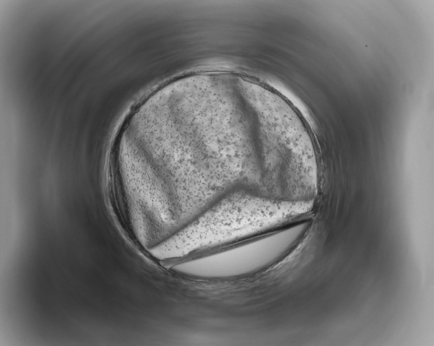 X0000093481477200711091617