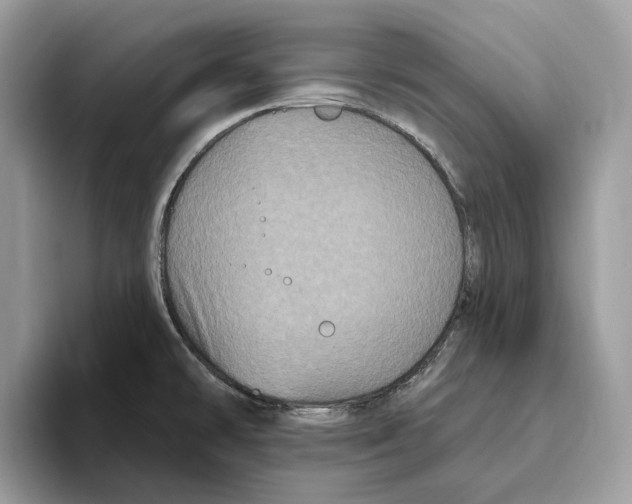 X0000093481478200711091617