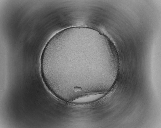 X0000093481479200711091617