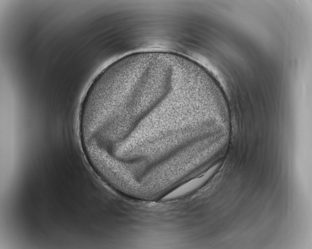 X0000093481480200711091617