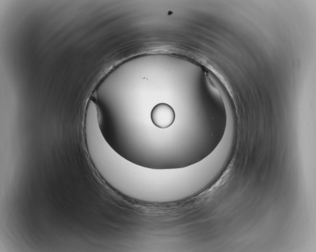 X0000093481481200711091617