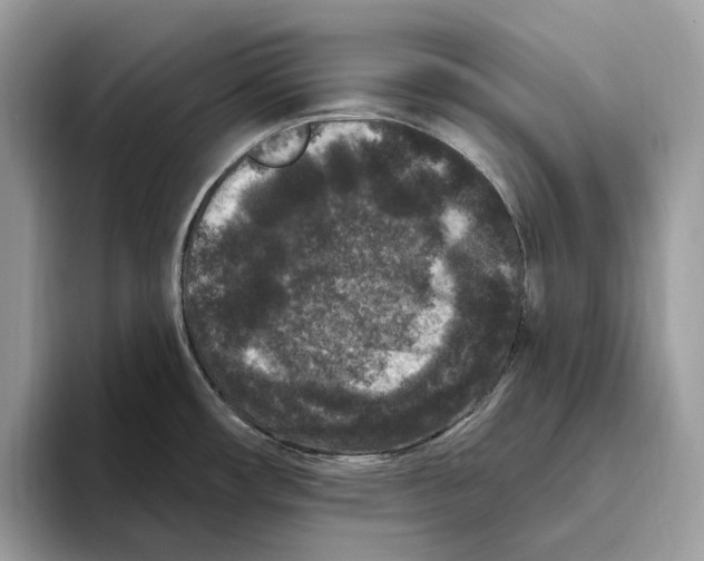 X0000093481482200711091617