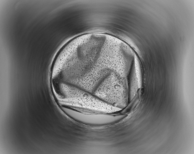 X0000093481484200711091617