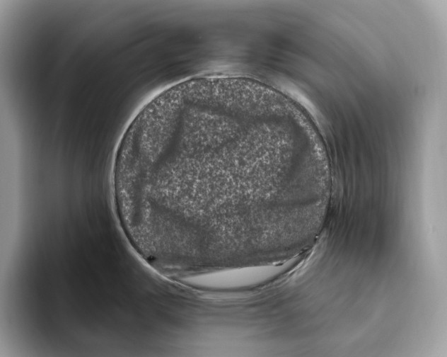 X0000093481487200711091617