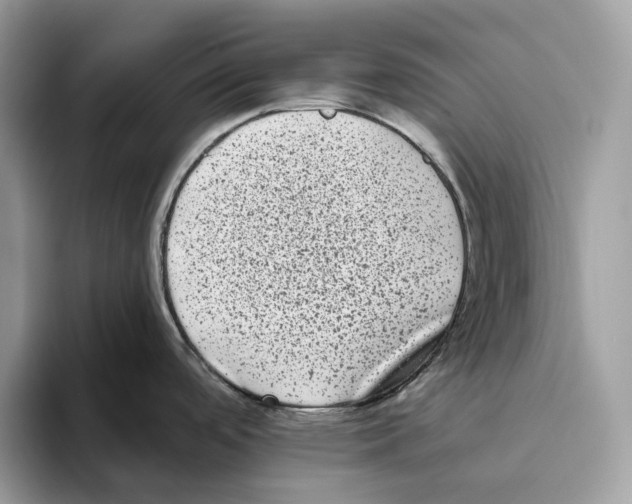 X0000093481488200711091617