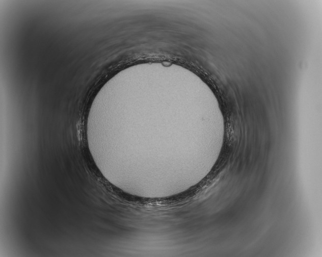 X0000093481490200711091616