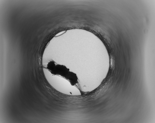 X0000093481492200711091616