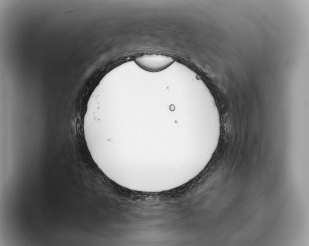 X0000093481495200711091616