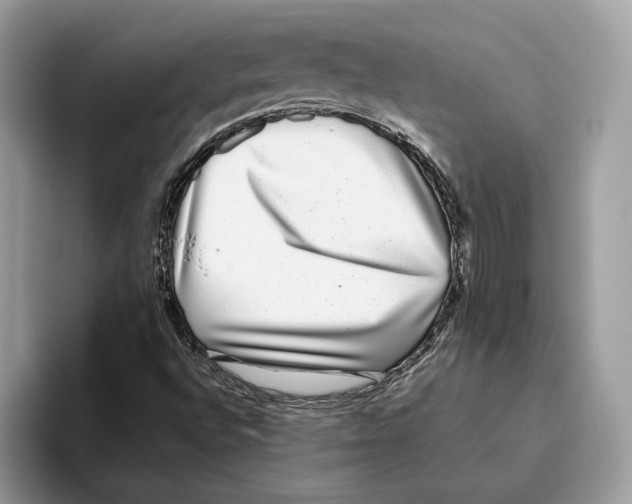 X0000093481496200711091616