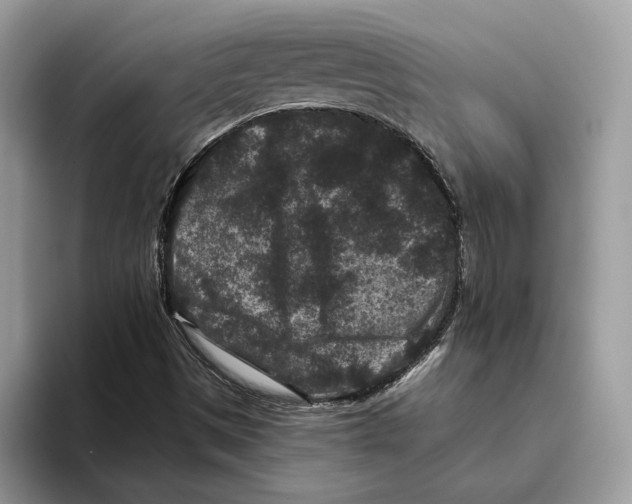 X0000093481497200711091616