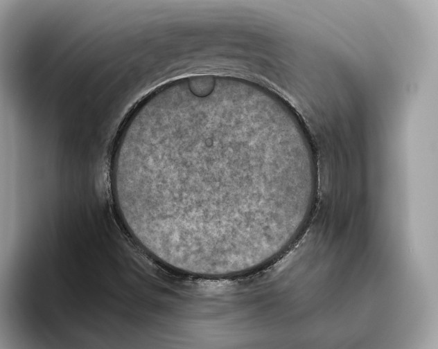 X0000093481498200711091616