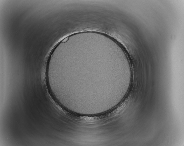 X0000093481500200711091616