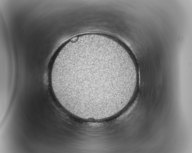 X0000093481501200711091616