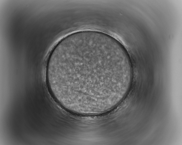 X0000093481504200711091616