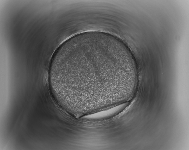 X0000093481505200711091616