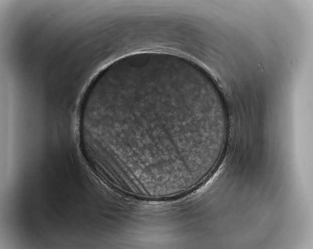 X0000093481506200711091617