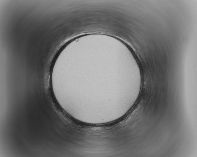 X0000093481507200711091617