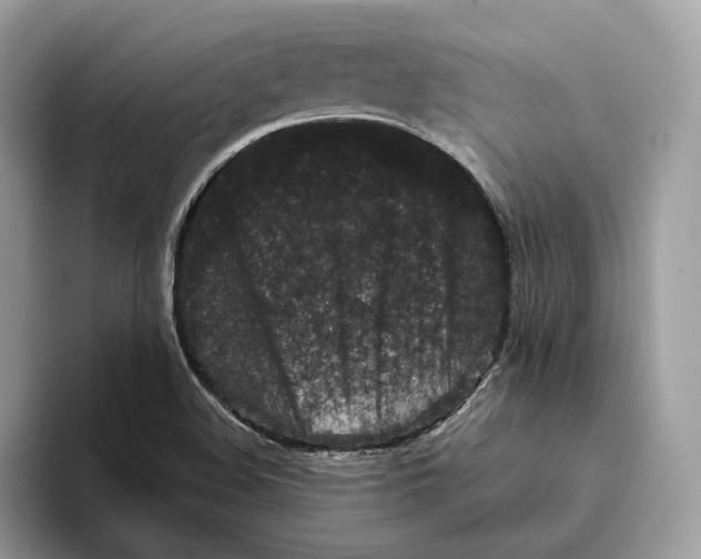 X0000093481508200711091617