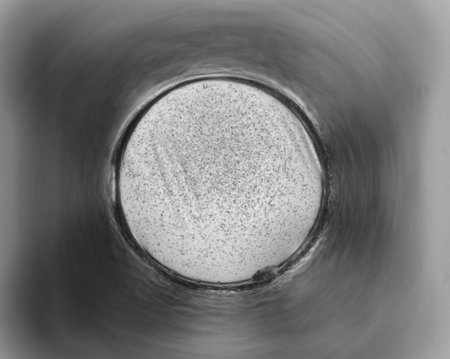 X0000093481509200711091617