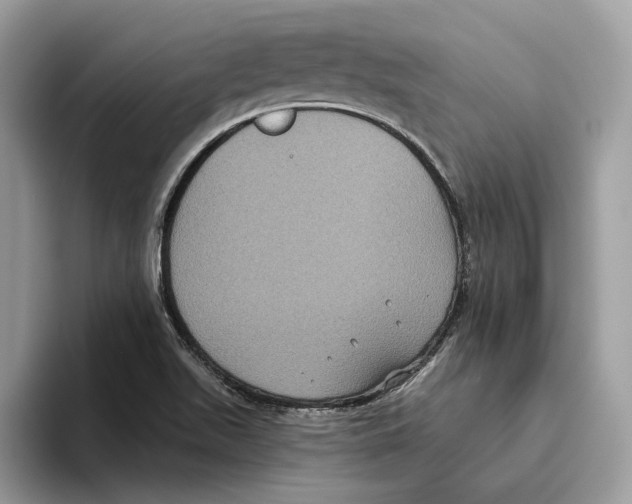 X0000093481511200711091617