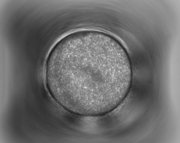 X0000093481514200711091617