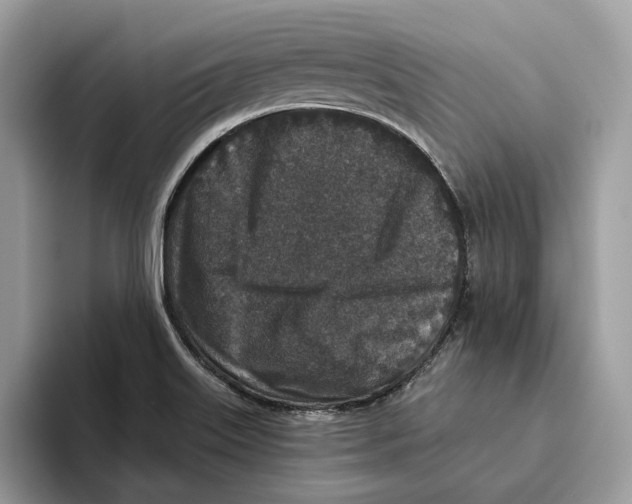 X0000093481515200711091617