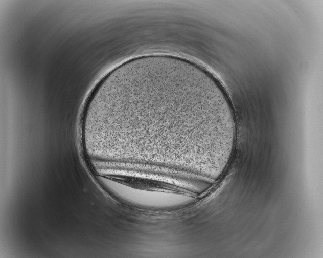 X0000093481517200711091617