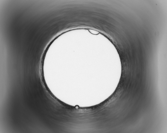 X0000093481518200711091617