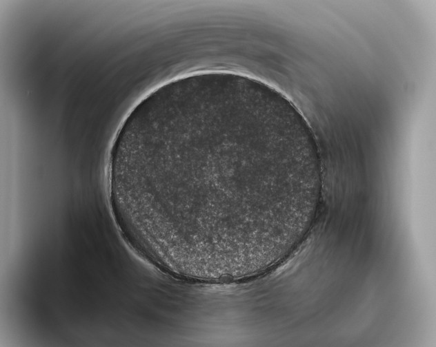 X0000093481519200711091617