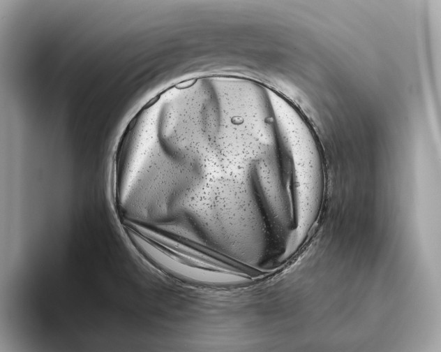 X0000093481520200711091617