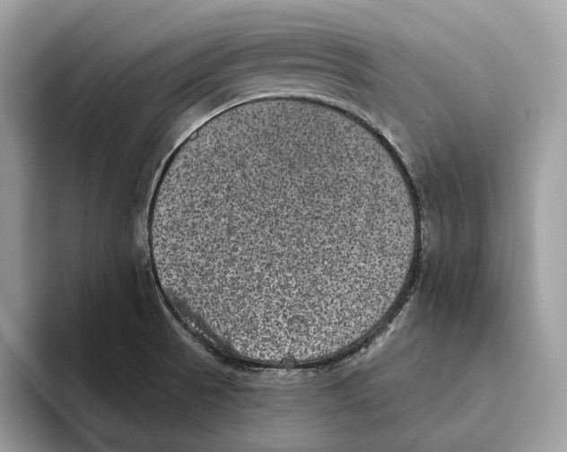 X0000093481521200711091617