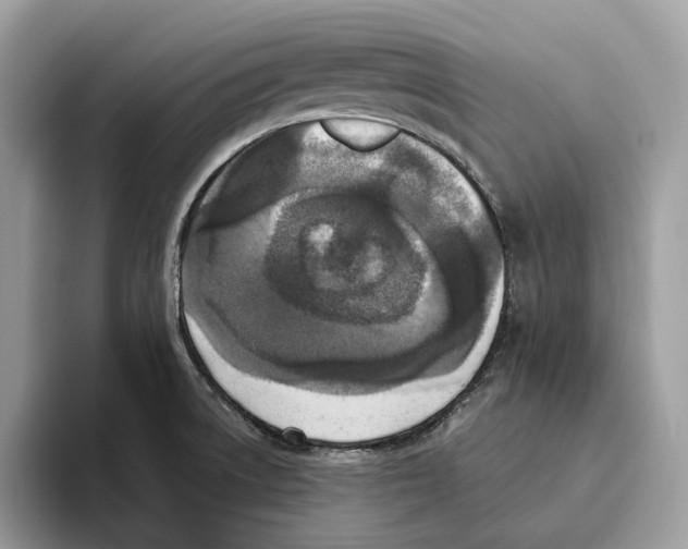 X0000093481522200711091617