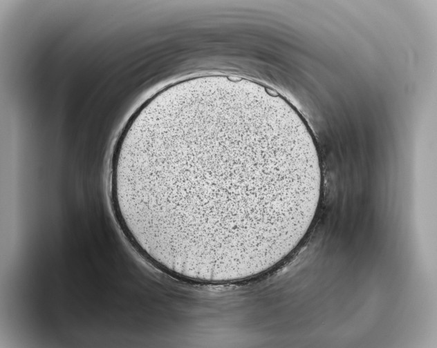 X0000093481523200711091617