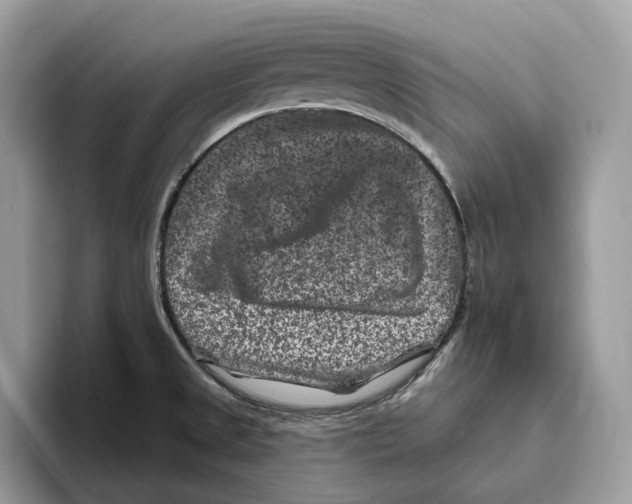 X0000093481525200711091617