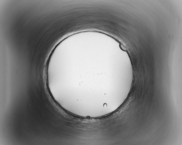 X0000093481526200711091617