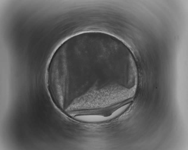 X0000093481527200711091617