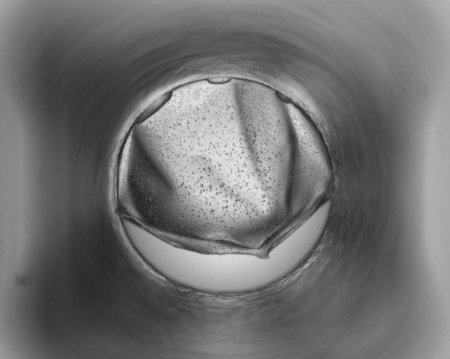 X0000093481528200711091617