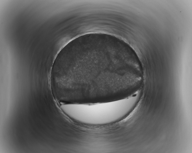 X0000093481529200711091617