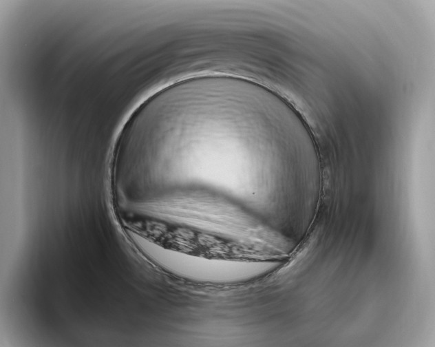 X0000093481530200711091617