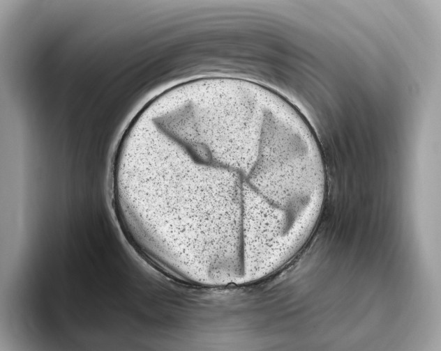 X0000093481531200711091617