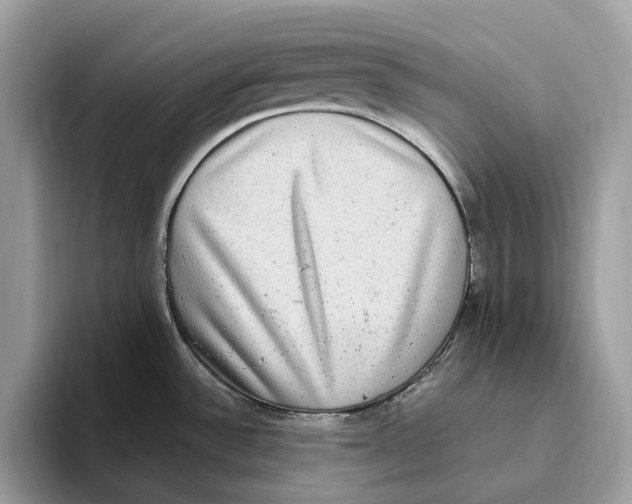 X0000093481532200711091617