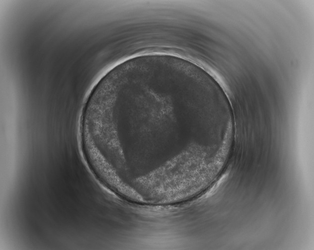 X0000093481533200711091617