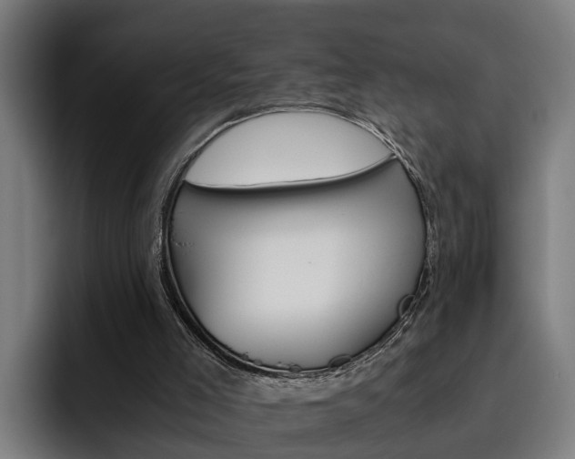 X0000093490005200710121021