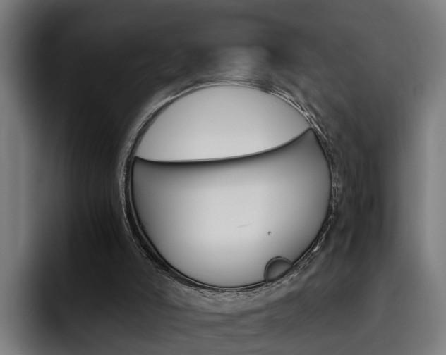 X0000093490006200710121021