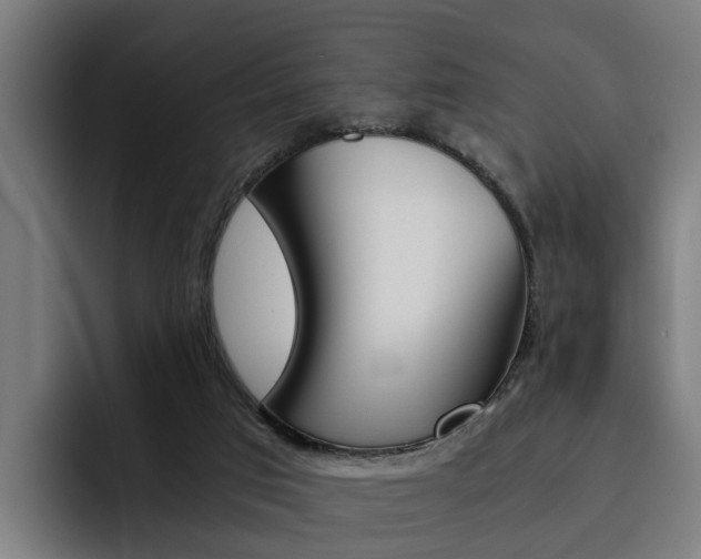 X0000093490017200710121021