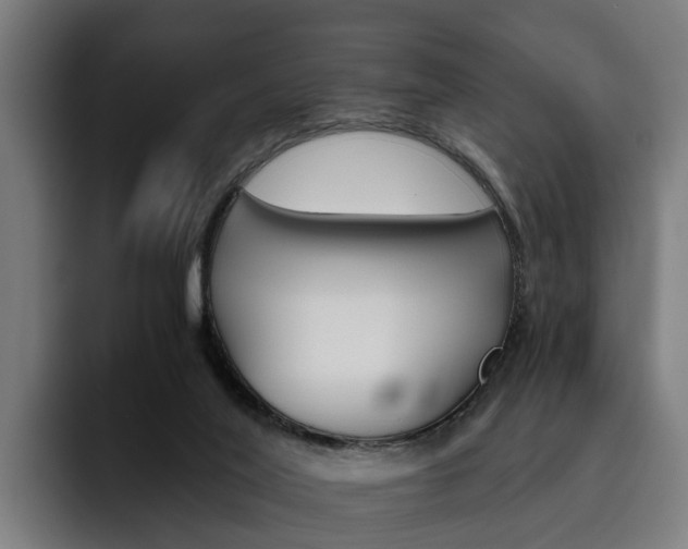X0000093490020200710121021