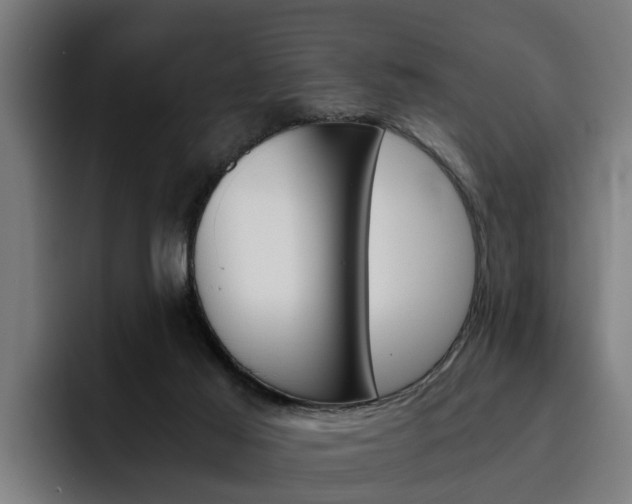 X0000093490021200710121021