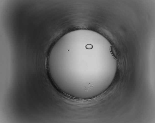 X0000093490023200710121021